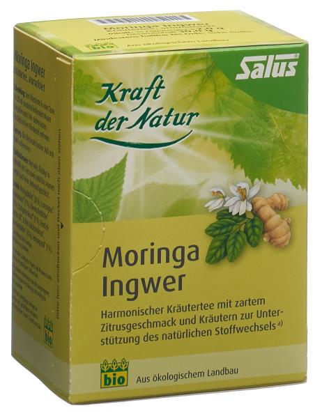SALUS Moringa Ingwer Tee Bio Btl 15 Stk