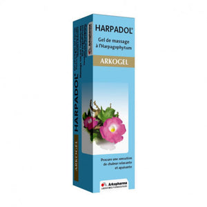 DrogerieMarkt24 - DrogerieMarkt24 ARKOPHARMA Teufelskrallen Gel 80 ml - Burgerstein
