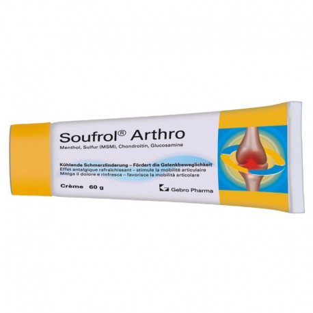 DrogerieMarkt24 - DrogerieMarkt24 SOUFROL Arthro Creme 60 g - Burgerstein